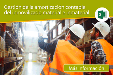 Plantilla de Excel para la gestión de la dotación a la amortización contable del inmovilizado material e inmaterial